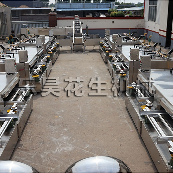 裹衣花生生產線